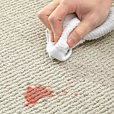 Cleaning a stain off of Mohawk stain resistant carpet