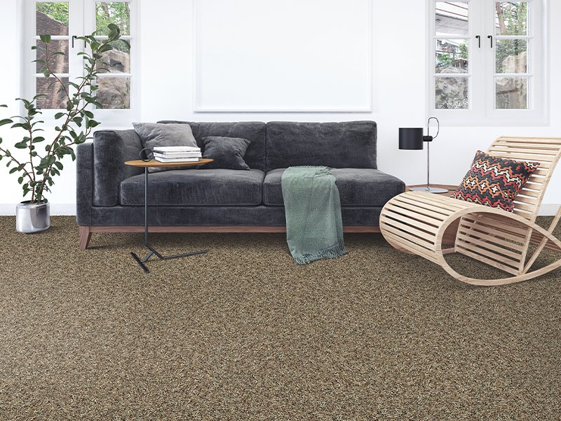 What’s all this talk about Berber carpet flooring?