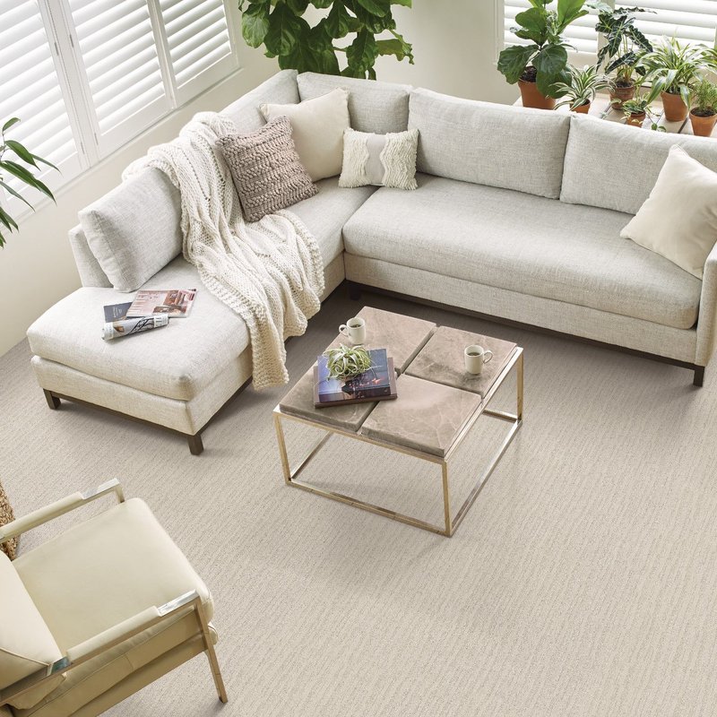 Redwing Custom Cabinets and Flooring providing stain-resistant pet proof carpet  in Boyd WI - Coastal Fashion III -Bliss